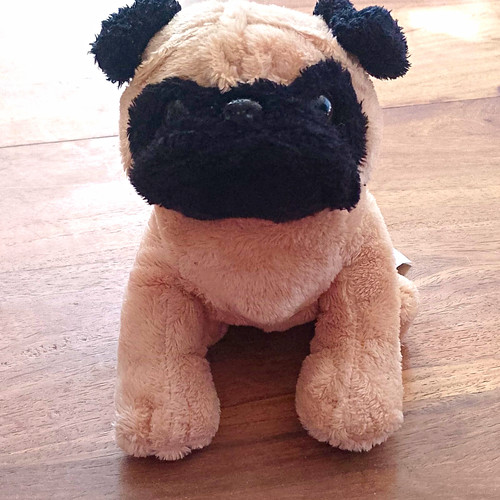 Ganz pug dog - pug, soft