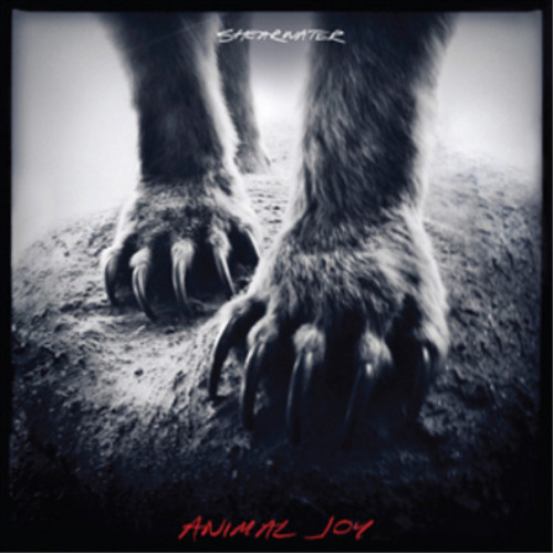 Shearwater animal joy - animal,