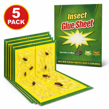 5 Pack Pest Trap Boards