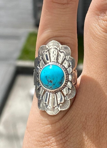 Native american navajo - native,