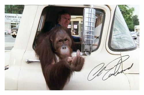 Clint eastwood every which - clint,