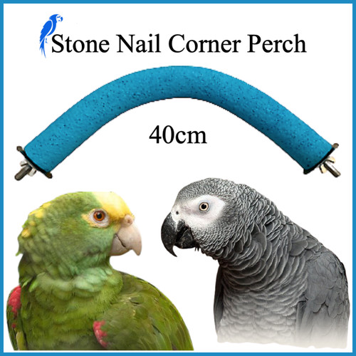 Parrot 40cm stone - nail, corner