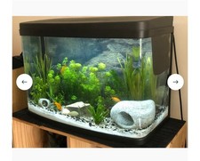 Panorama Love Fish 64L Tank Plus Accessories Aquarium