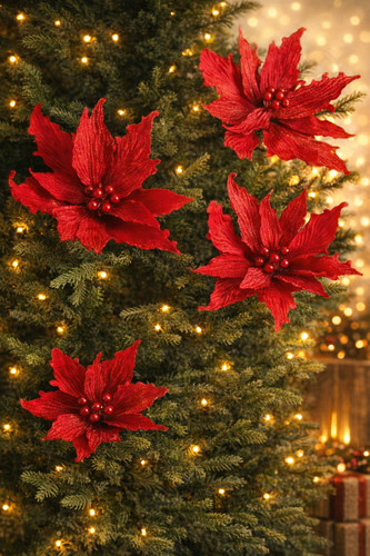 Set red poinsettia - set,