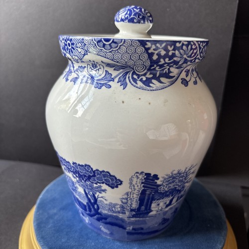 Spode ginger jar shape - ginger,