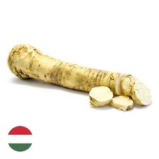 Fresh Hungarian Horseradish