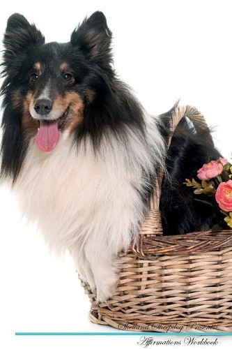Shetland sheepdog affirmations - sheepdog,