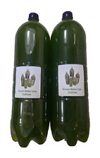 Food for Daphnia  Moina  Fry - 2L Green Water (Chlorella) Starter Culture Kit