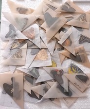 50 mixed SE asia real