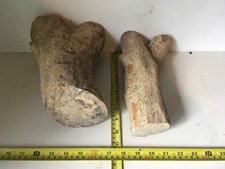 BOX WOOD. wood turning blanks