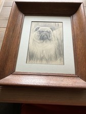 Bull Dog Big Boy. Drawing Beautiful Old Oak Frame. Circa 1920