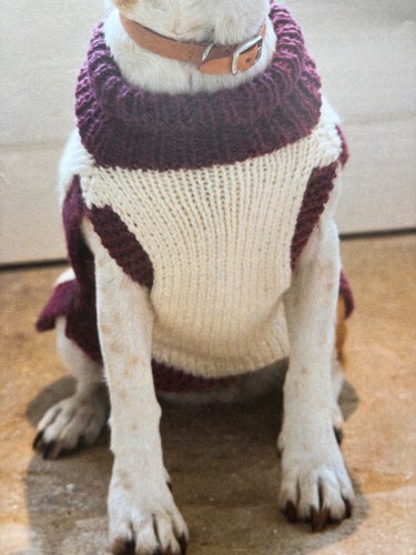 Fabulous winter warmer dog - winter,