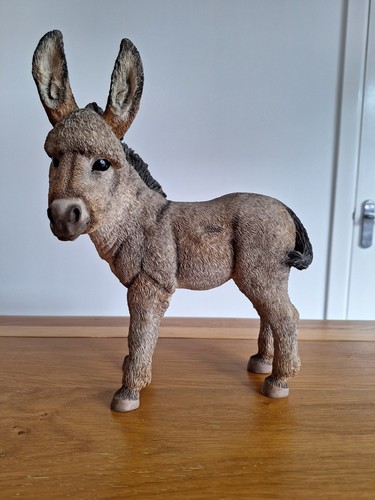 Country artists donkey - country,