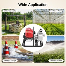 0.98 in Petrol Water Pump -