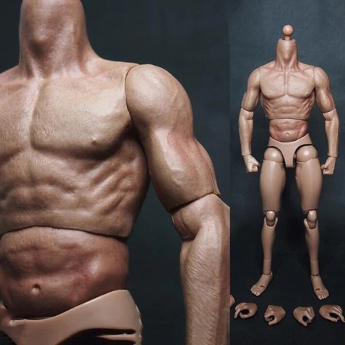 Hot toys scale muscular - zc,