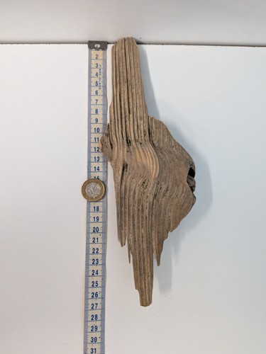 5076 decorative piece of - decorative,