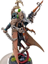 Warhammer 40k Drukhari Haemonculus Dark Eldar Well Painted Xenos GW 40 k