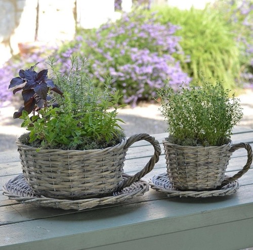 Willow teacup planters - 2, w/