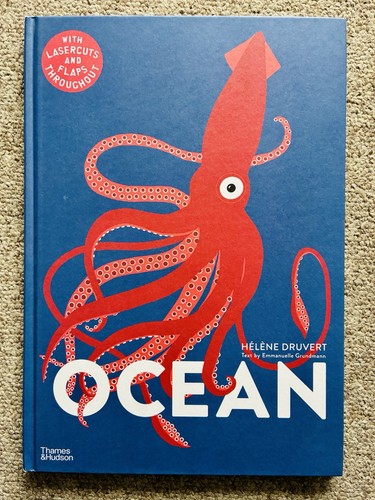 Ocean hélène druvert - ocean,