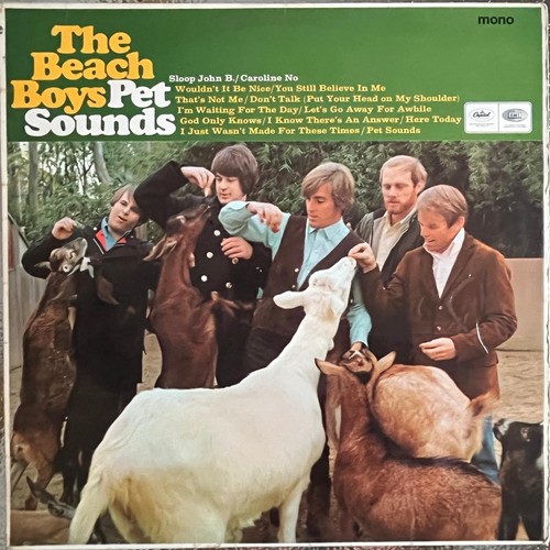 The beach boys pet - beach,