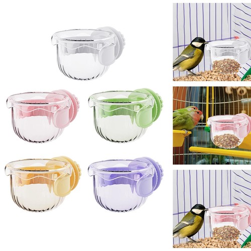 Bird feeding dish cup - bird,