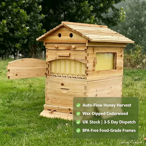 Frame auto flow honey - 7,