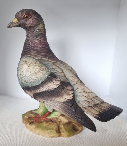 Vintage stock dove - vintage,