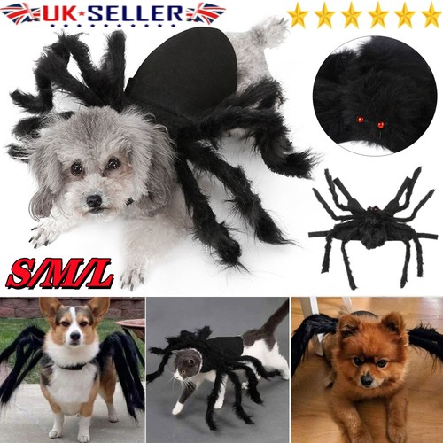 Halloween spider pet costume - spider,