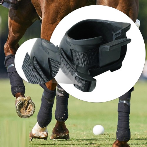 Horse hoof boots equine - horse,