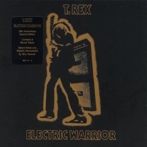 Electric warrior 30th - electric,