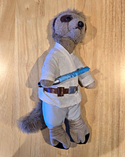 Compare the meerkat - compare,