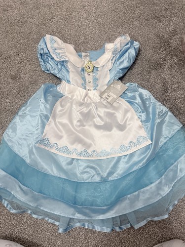 Disney store costume - disney,