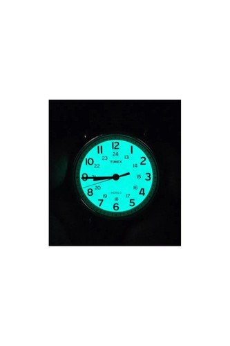 Timex gents easy - easy, reader