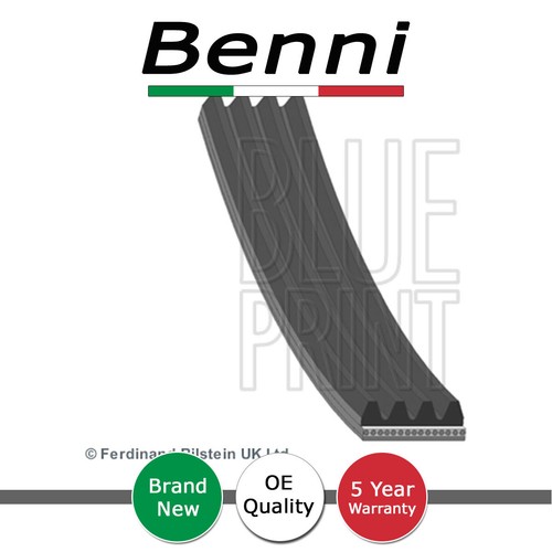 Alternator belt benni fits - alternator,