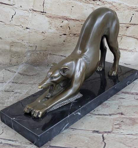 Greyhound saluki racing dog - saluki,