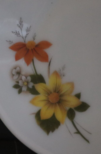 Vintage pyrex jaj autumn glory - pyrex,