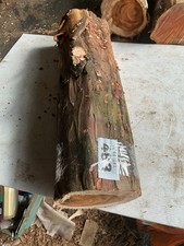 Yew wood length - wood,yew, length,yew,yew