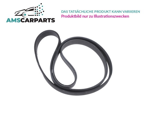 Belt ribbed 987 - v-belt, 1
