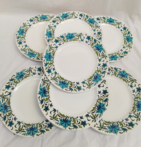 Midwinter spanish garden - -,