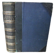 1873 - The Illustrated Natural