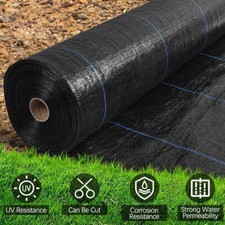 Garden weed control - weed,