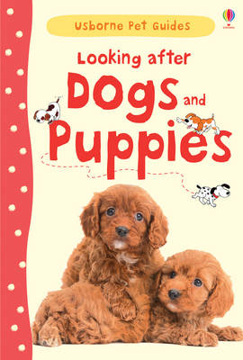 Katherine starke looking - katherine, :