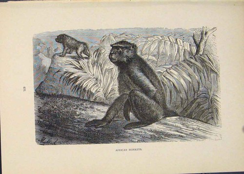 Original old antique - original, print