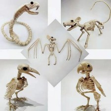 Halloween Horror Party