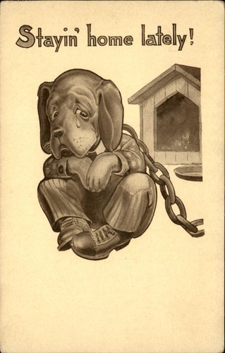 Sad chained puppy humor - chained,