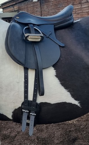 Harry dabbs black saddle - harry,