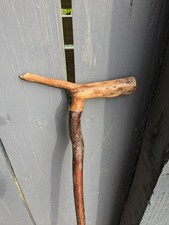 Handmade Blackthorn Walking