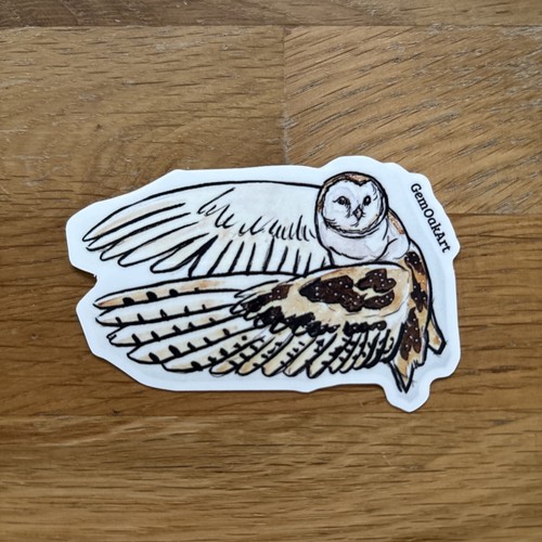 Flying barn owl illustration - flying,