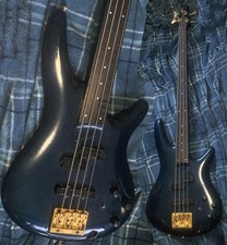 Ibanez SR-Series Fretless Bass