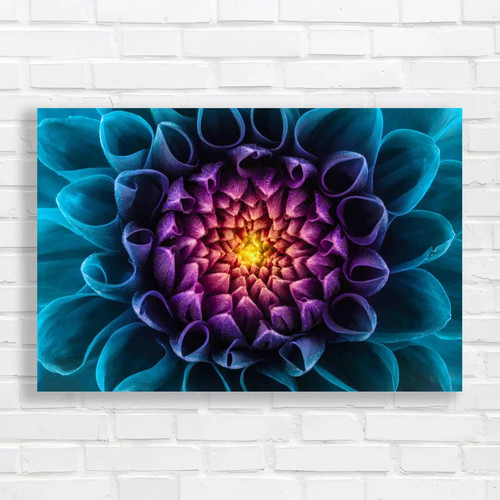 Vibrant chrysanthemum close - chrysanthemum, up
